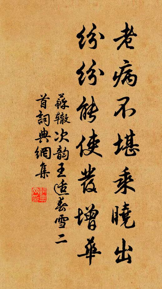 蘇轍老病不堪乘曉出，紛紛能使發(fā)增華書法作品欣賞
