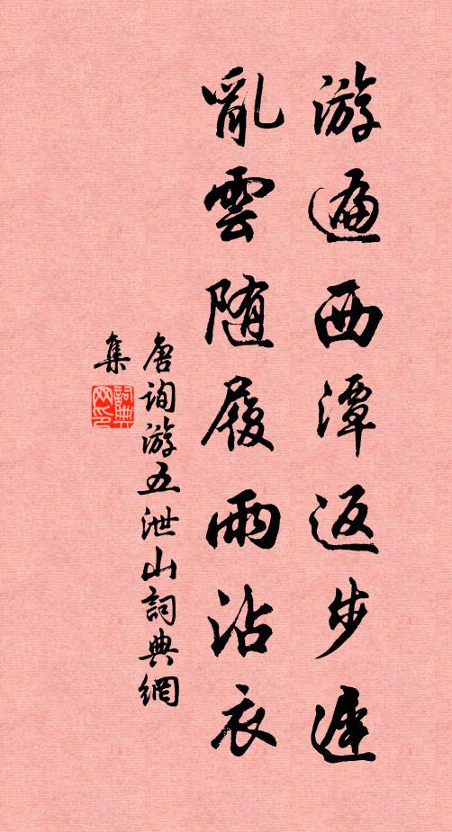 唐詢游遍西潭返步遲，亂云隨履雨沾衣書法作品欣賞