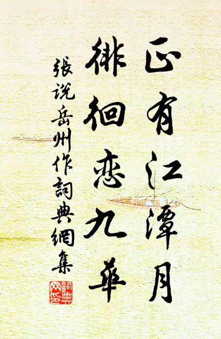 張說正有江潭月，徘徊戀九華書法作品欣賞