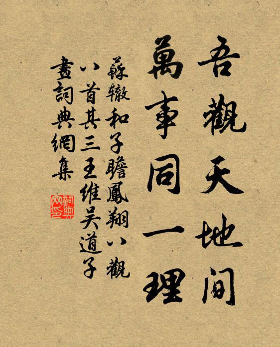 苏辙吾观天地间,万事同一理书法作品欣赏