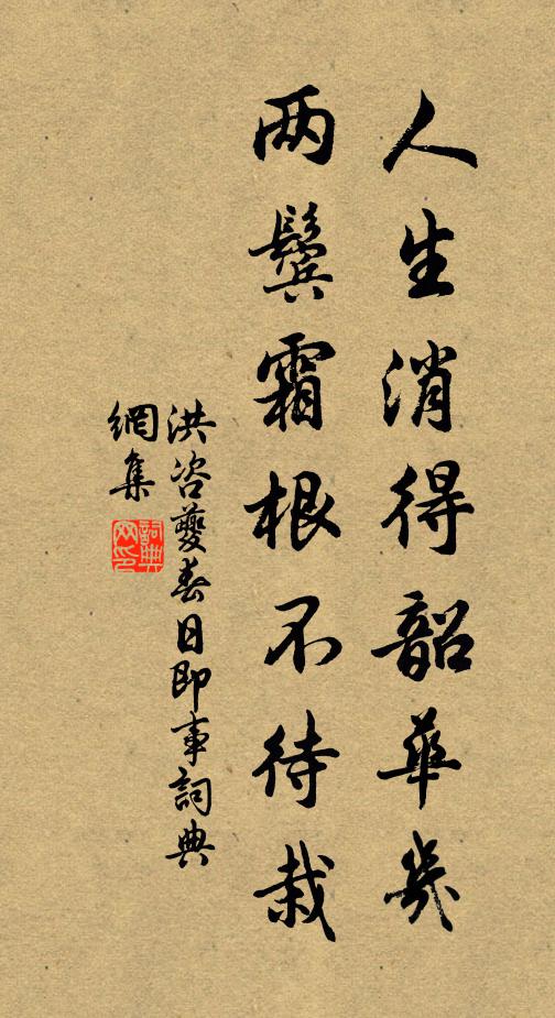 洪咨夔人生消得韶華幾，兩鬢霜根不待栽書法作品欣賞