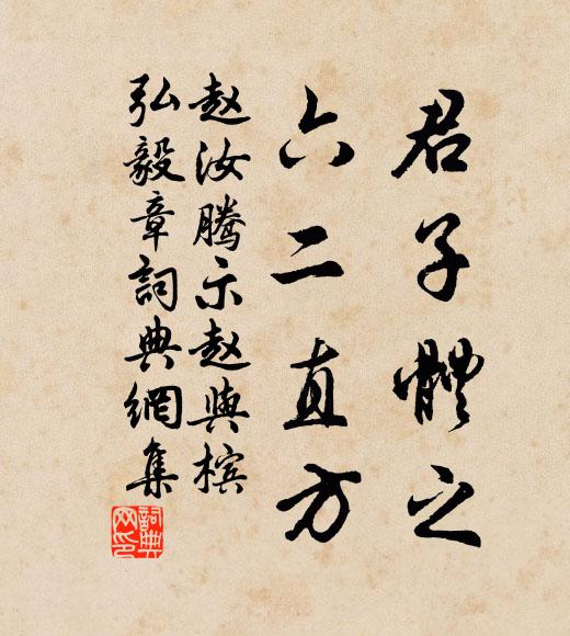 赵汝腾君子体之,六二直方书法作品欣赏