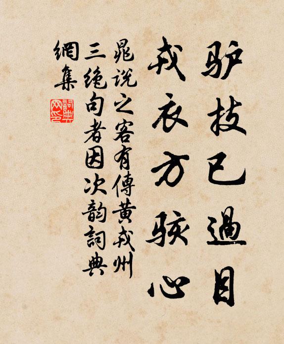 晁說(shuō)之驢技已過(guò)目，戎衣方駭心書(shū)法作品欣賞