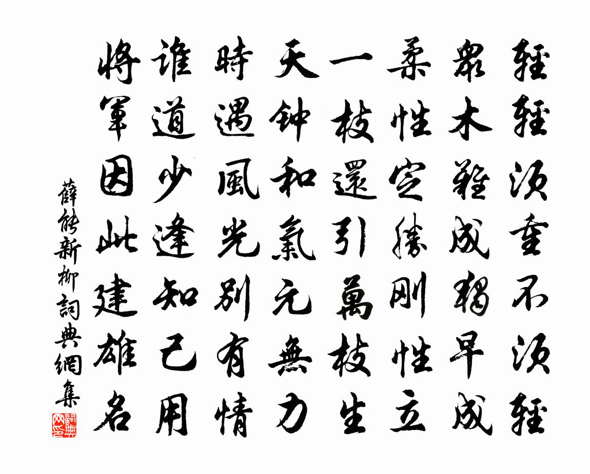 薛能新柳书法作品欣赏