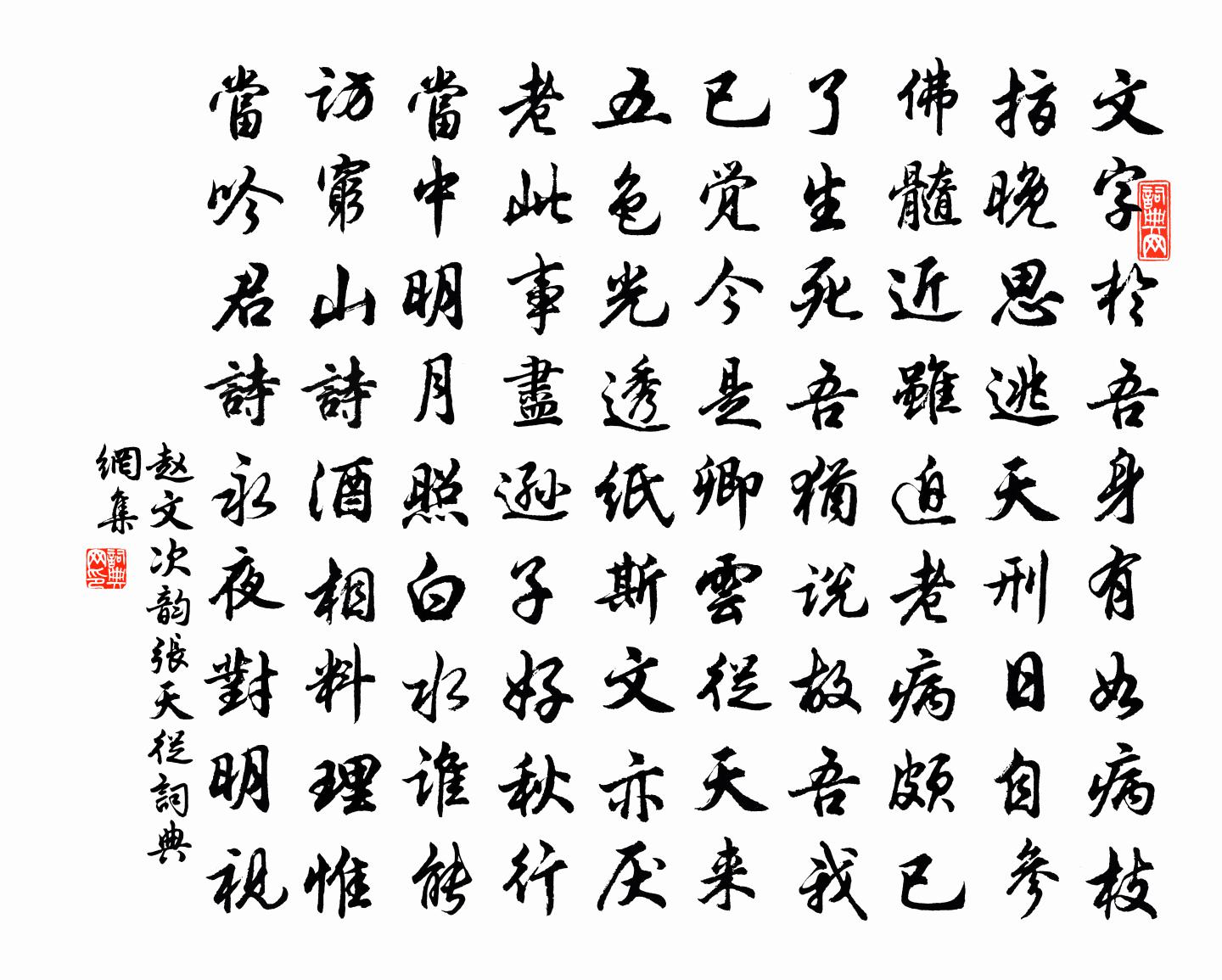 赵文次韵张天从书法作品欣赏