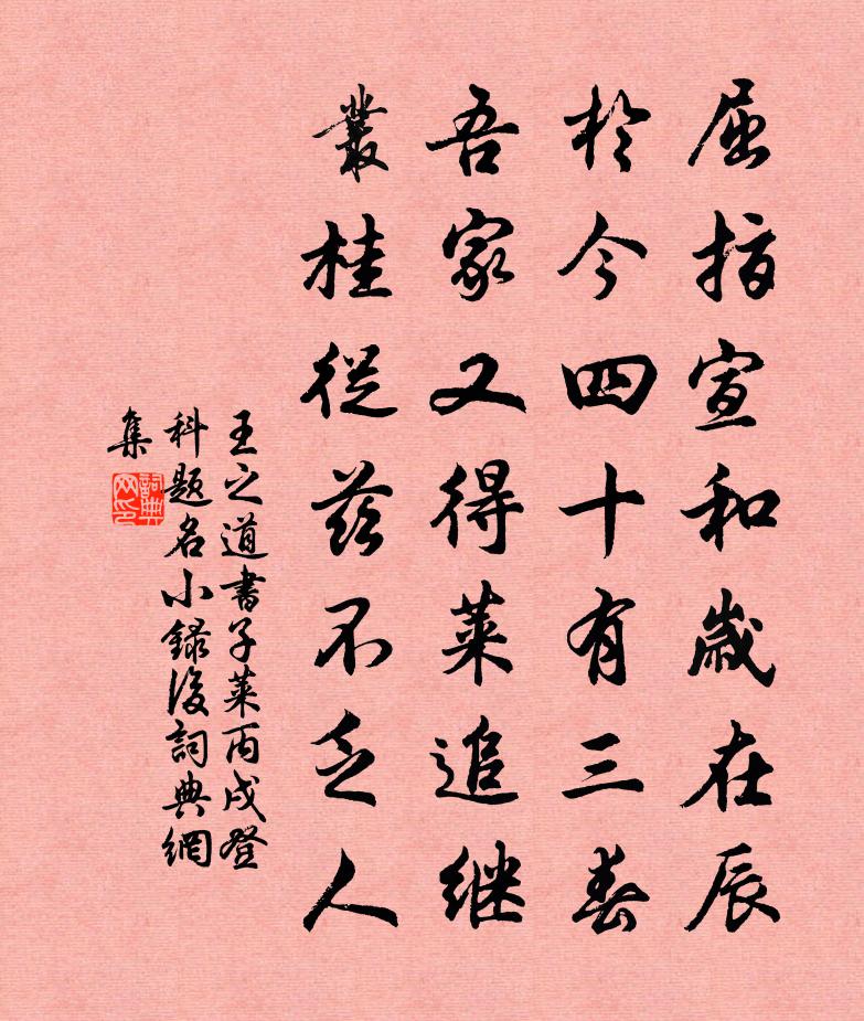 王之道书子莱丙戌登科题名小录后书法作品欣赏