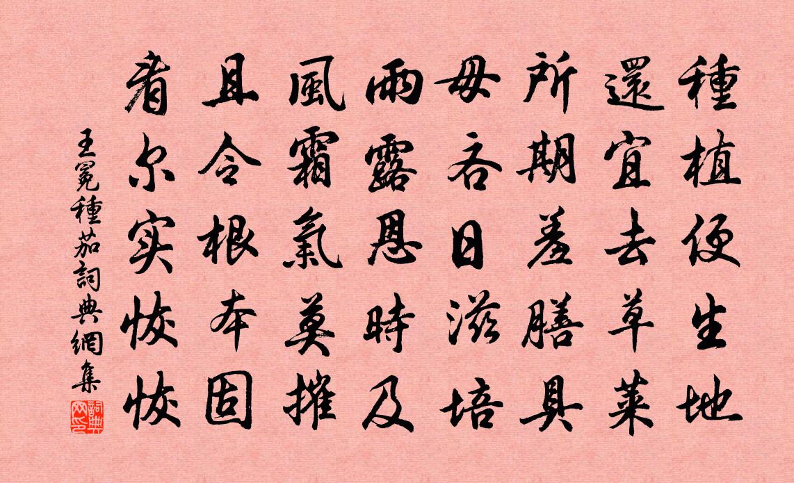 王冕种茄书法作品欣赏