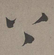 康里巎巎谪龙说卷中上的写法