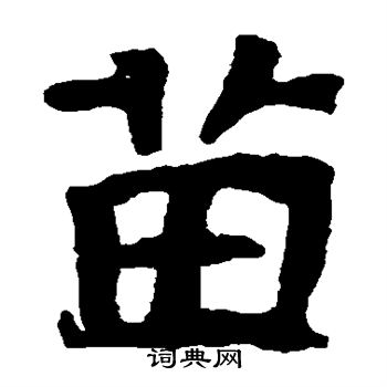 张公礼写的苗 张公礼写的苗