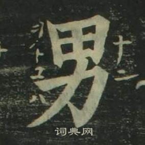 姜立纲写的男 姜立纲四体千字文中男的写法