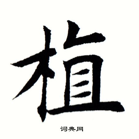 田蕴章写的植 田蕴章写的植