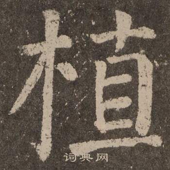 颜真卿李玄靖碑中植的写法