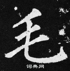 赵孟頫写的楷书毛字_赵孟頫毛字楷书写法_赵孟頫毛书法图片_词典网