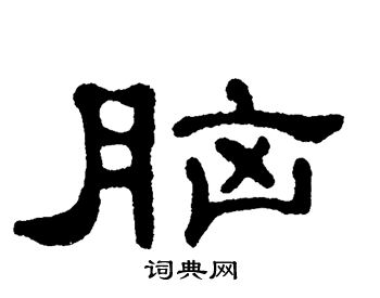 单晓天写的隶书脑字