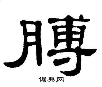 单晓天写的膊 单晓天写的膊