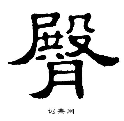 臀书法字典