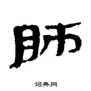 简牍写的肺