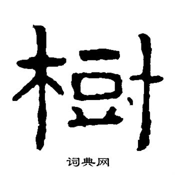 泰山金刚经写的隶书树字