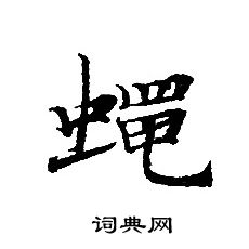 转轮圣王经写的蝇