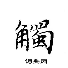 转轮圣王经写的觸 