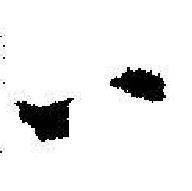 启功临苏轼诗文帖中八的写法