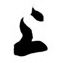 任政唐宋诗词中上的写法