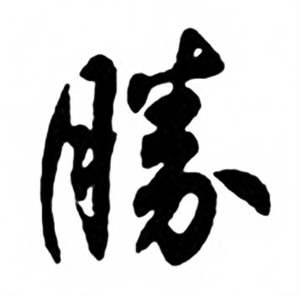 勝字行書寫法_勝行書怎麼寫好看_勝書法圖片_詞典網