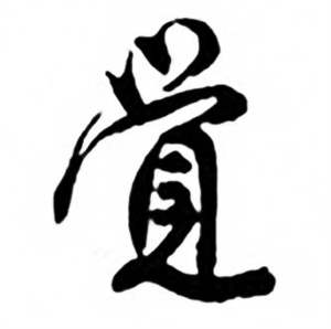 任政写的覺 任政兰斋宋词行书帖中覺的写法