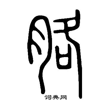 说文解字写的胳