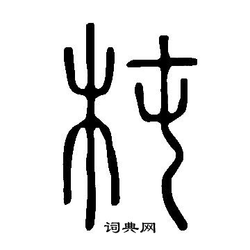 说文解字写的杶