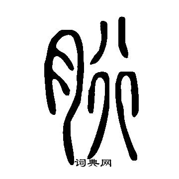 说文解字写的胻
