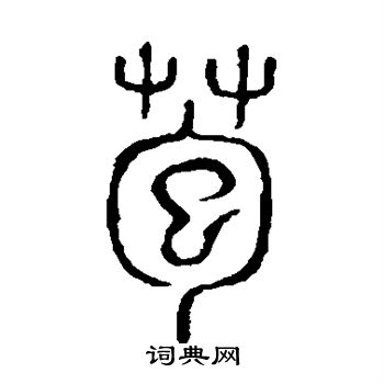 说文解字写的苞 说文解字写的苞