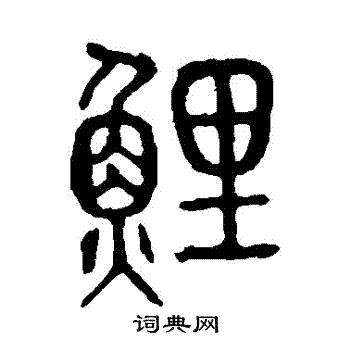 说文解字写的鯉