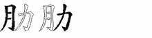 肋的五笔拆字图