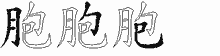 胞的五筆拆字圖