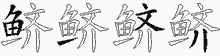 鲚的五笔拆字图